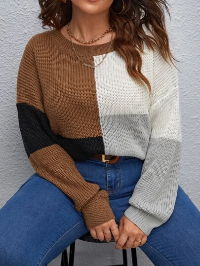 SHEIN LUNE Jersey de color combinado de hombros caídos