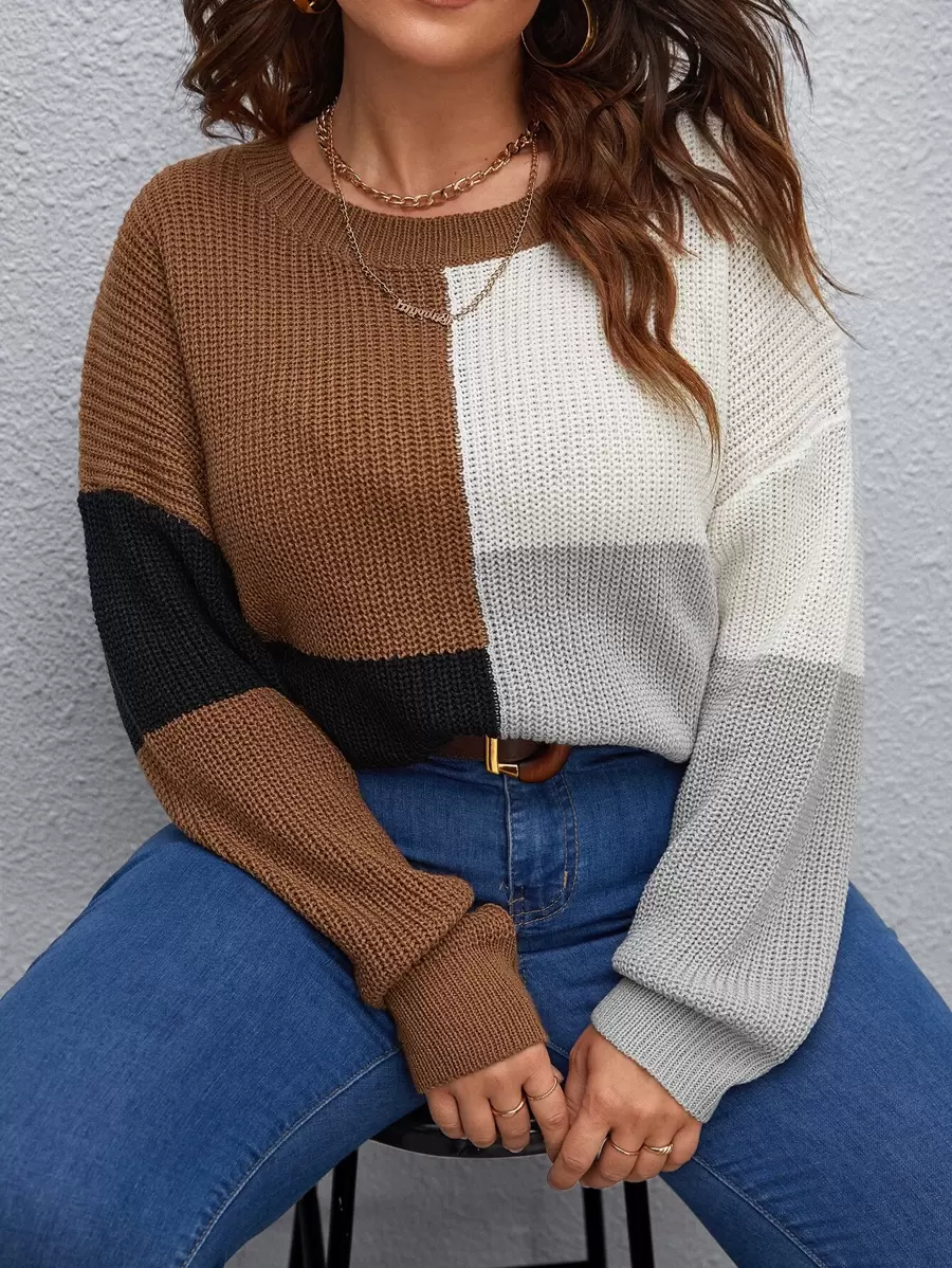 SHEIN LUNE Suéter de punto con bloque de color y hombros caídos, para otoño e invierno, talla grande - Multicolor - Ver 1