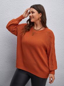 SHEIN LUNE Plus Cable Knit Raglan Sleeve Sweater Knit Pullover Fall Winter Outfit Autumn - Burnt Orange - View 4