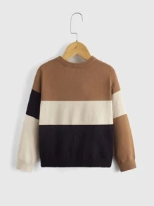 SHEIN Áo len cho bé trai tập đi Khối Màu Giải trí - Nhiều màu - Xem 2