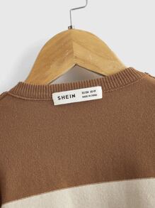 SHEIN Áo len cho bé trai tập đi Khối Màu Giải trí - Nhiều màu - Xem 5