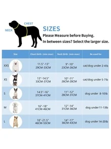 2入組撞色寵物牽引繩和束帶套裝 - 彩色 - 查看 6