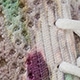 Multicolor