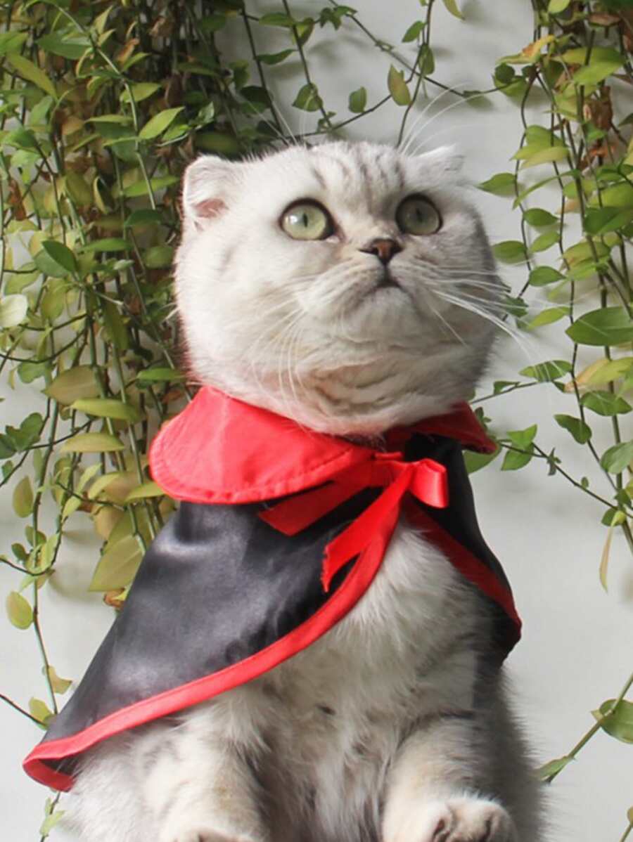 1pc Contrast Binding Pet Costume Halloween Halloween Costumes - Multicolor - View 1
