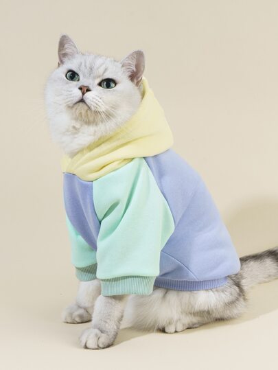 PETSIN Sudadera con capucha de bloques de color para gatos - Sudadera suave y cálida para gatos; ideal para pasar el otoño y el invierno en interiores, noches acogedoras, reuniones festivas, celebraciones navideñas y fotos familiares memorables.