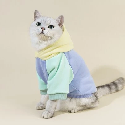 PETSIN 猫用彩色宠物连帽衫 - 柔软温暖的猫用连帽衫；非常适合秋冬季室内休闲、舒适的夜晚、节日聚会、节日庆祝活动和难忘的家庭照片。