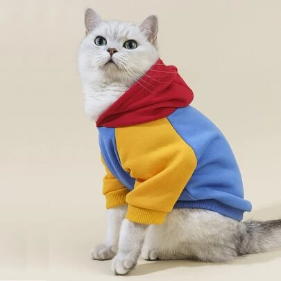 PETSIN 狗狗彩色宠物连帽衫 - 大胆温暖的狗狗连帽衫；专为秋季、冬季探险、节日郊游、家庭聚会、日常锻炼和时尚舒适而设计。