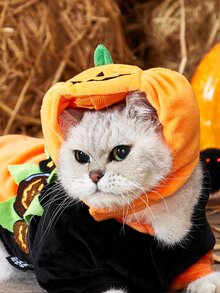 1pc Pet Halloween Pumpkin Hat, Party Costume Headwear - Orange - View 3