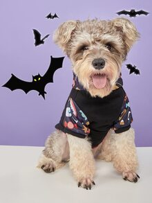 1pc Halloween Pet Sweatshirt, Suitable For Small/Medium Dogs & Cats, Perfect For Halloween Party, Gift
