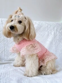 1pc Knitted Twisted Sweater Dress With Lace Butterfly Sleeve Suitable For Cats And Dogs In Autumn And Winter - Pink - View 1