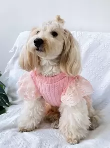 1pc Knitted Twisted Sweater Dress With Lace Butterfly Sleeve Suitable For Cats And Dogs In Autumn And Winter - Pink - View 6