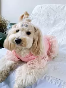 1pc Knitted Twisted Sweater Dress With Lace Butterfly Sleeve Suitable For Cats And Dogs In Autumn And Winter - Pink - View 7