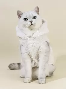 PETSIN Solid Color Pet Plush Coat - Multicolor - View 1