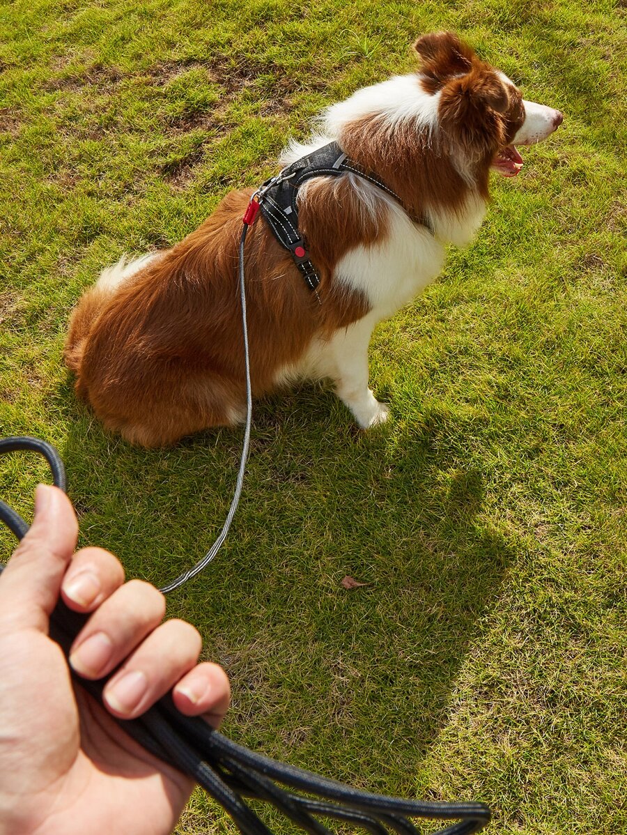 1pc Adjustable Pet Leash For Dog For Outdoor - Black - View 1