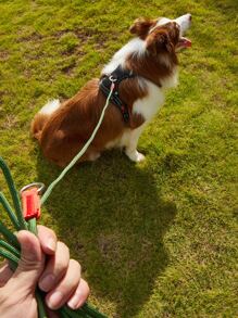 1pc Adjustable Pet Leash For Dog For Outdoor - Army Green - View 2