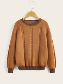 SHEIN Boys Cable Knit Contrast Trim Raglan Sleeve Jumper - Brown - View 1