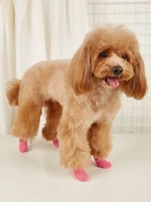 4入組圖案寵物襪子