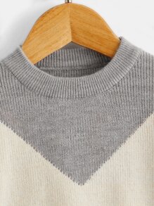 SHEIN Toddler Boys Chevron Pattern Jumper - Multicolor - View 3