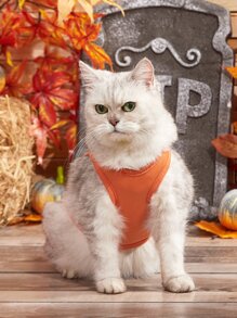 PETSIN 1pc Halloween Expression Printed Pet Vest - Orange - View 3