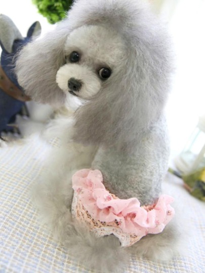 1pc Random Color Pet Sanitary Pants