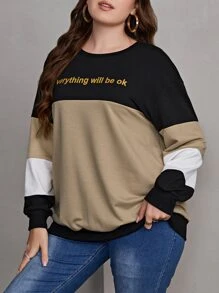 Mulvari Plus Slogan Graphic Colorblock Drop Shoulder Pullover