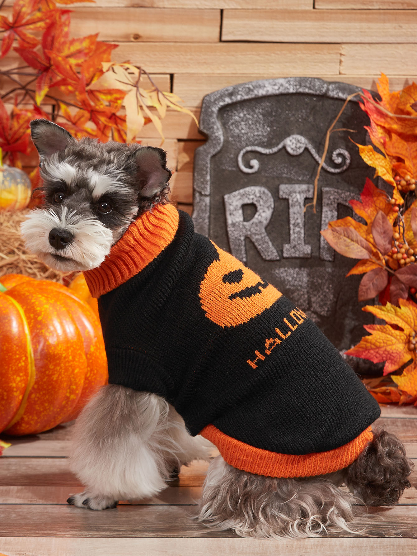 1個 ハロウィーン かぼちゃプリント ペットセーター Shein Japan 1個 ハロウィーン かぼちゃプリント ペットセーター Shein Japan