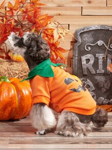 1入組寵物萬聖節裝套頭毛衣,可愛卡通南瓜圖案 - 彩色 - 查看 4