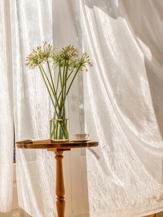 Plain Color Single Panel Sheer Curtain