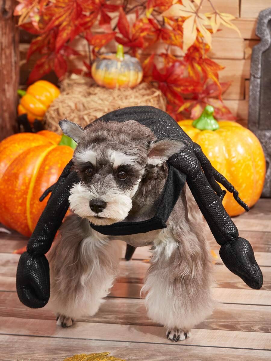 1pc Scorpion Design Pet Costume Halloween Halloween Costumes - Black - View 1