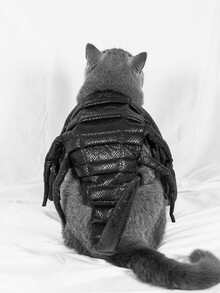 1pc Scorpion Design Pet Costume Halloween Halloween Costumes - Black - View 4