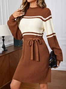 SHEIN Essnce 撞色小高領腰帶毛衣裙 - 彩色 - 查看 5