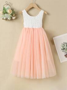 SHEIN Toddler Girls Contrast Lace Bodice Flared Mesh Hem Dress - Multicolor - View 1