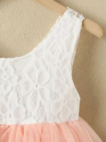 SHEIN Toddler Girls Contrast Lace Bodice Flared Mesh Hem Dress - Multicolor - View 3