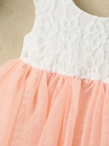 SHEIN Toddler Girls Contrast Lace Bodice Flared Mesh Hem Dress - Multicolor - View 4