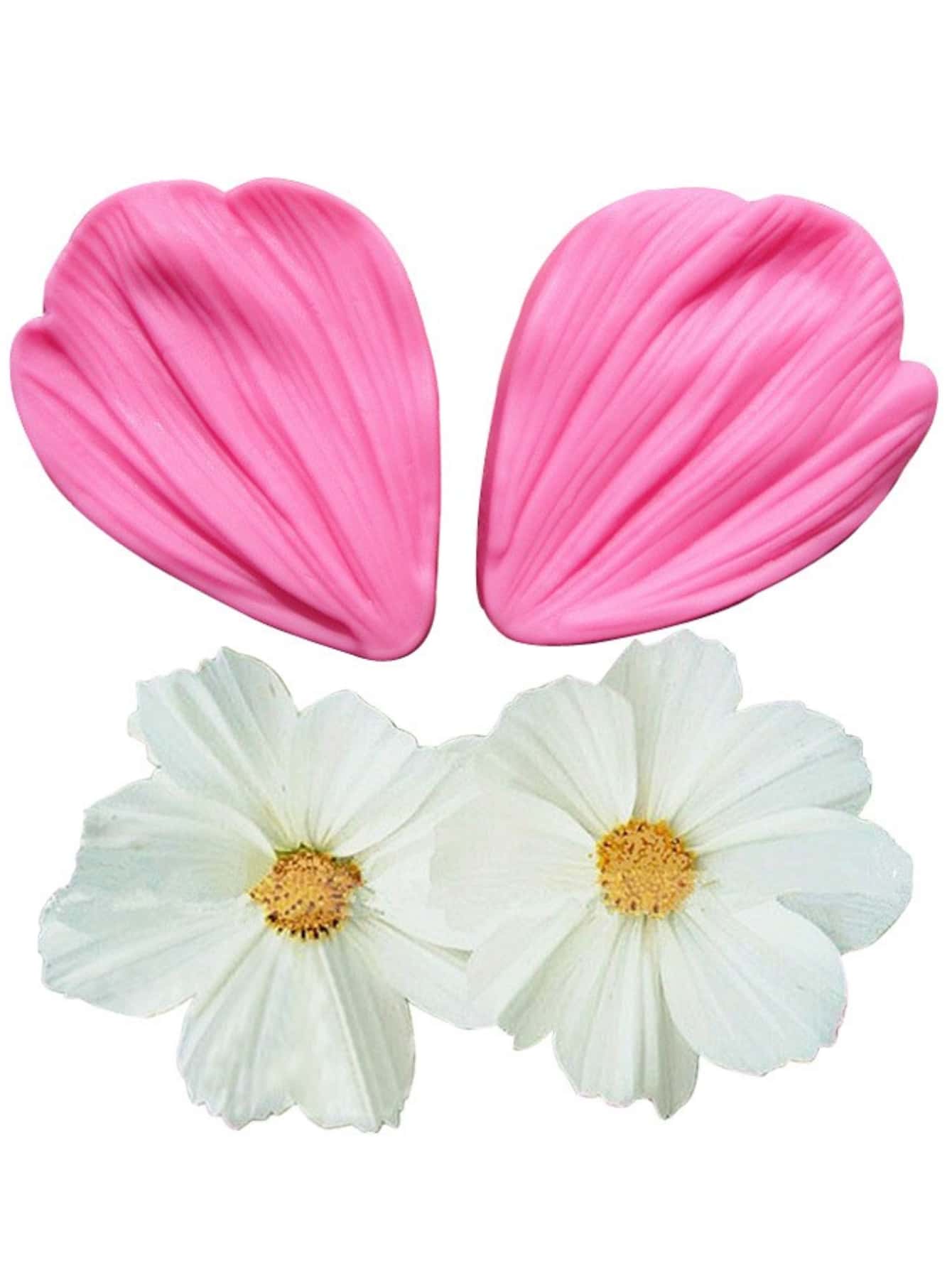 c351c5ecbe0526b Webp c351c5ecbe0526b Webp