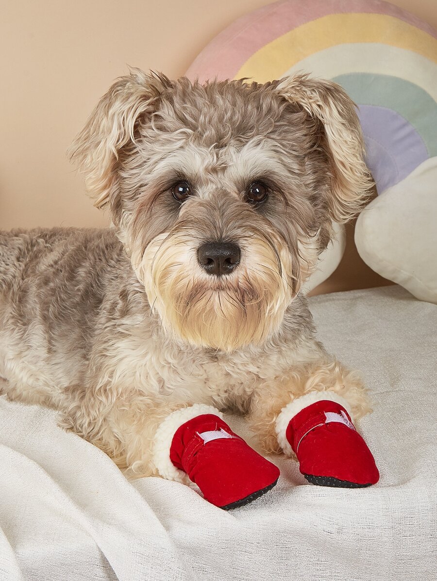 1 Bộ Giày Giữ Nhiệt Màu Đỏ Cho Thú Cưng Thích Hợp Cho Chó Mèo, Để Mang Hàng Ngày - Đỏ - Xem 1