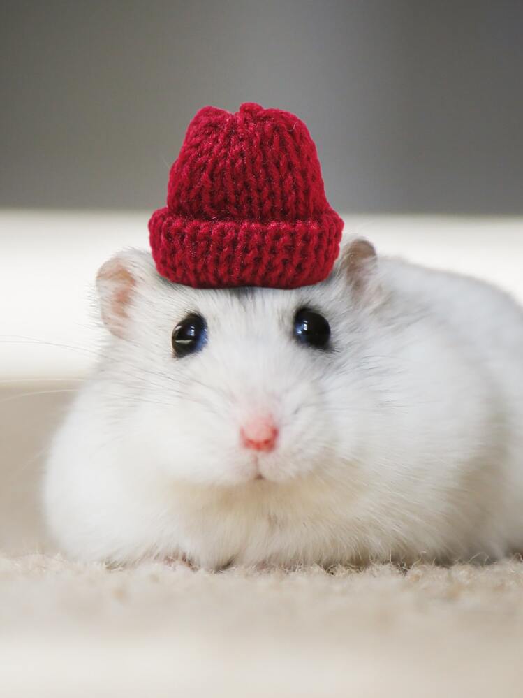 1662012285dee381db455cfe5c270f