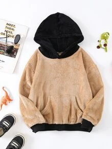 Boys 1pc Colour Block Kangaroo Pocket Teddy Hoodie - Khaki - View 1