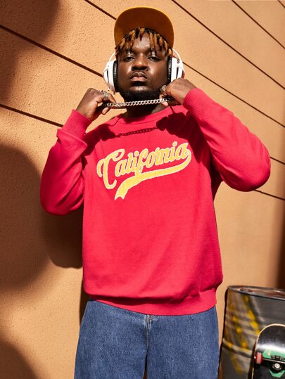 Manfinity Men Plus Letter Pattern Sweater, For Fall Winter