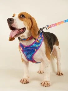 4入組海豚圖案寵物項圈和牽引繩和背帶和組合包 - 彩色 - 查看 1