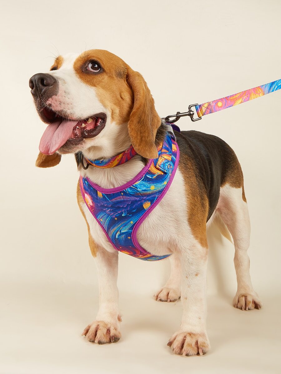 4入組海豚圖案寵物項圈和牽引繩和背帶和組合包 - 彩色 - 查看 1