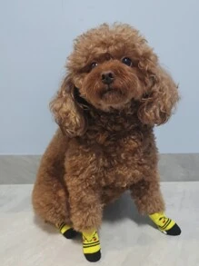 4pcs Random Color Cartoon Pattern Pet Socks - Multicolor - View 7