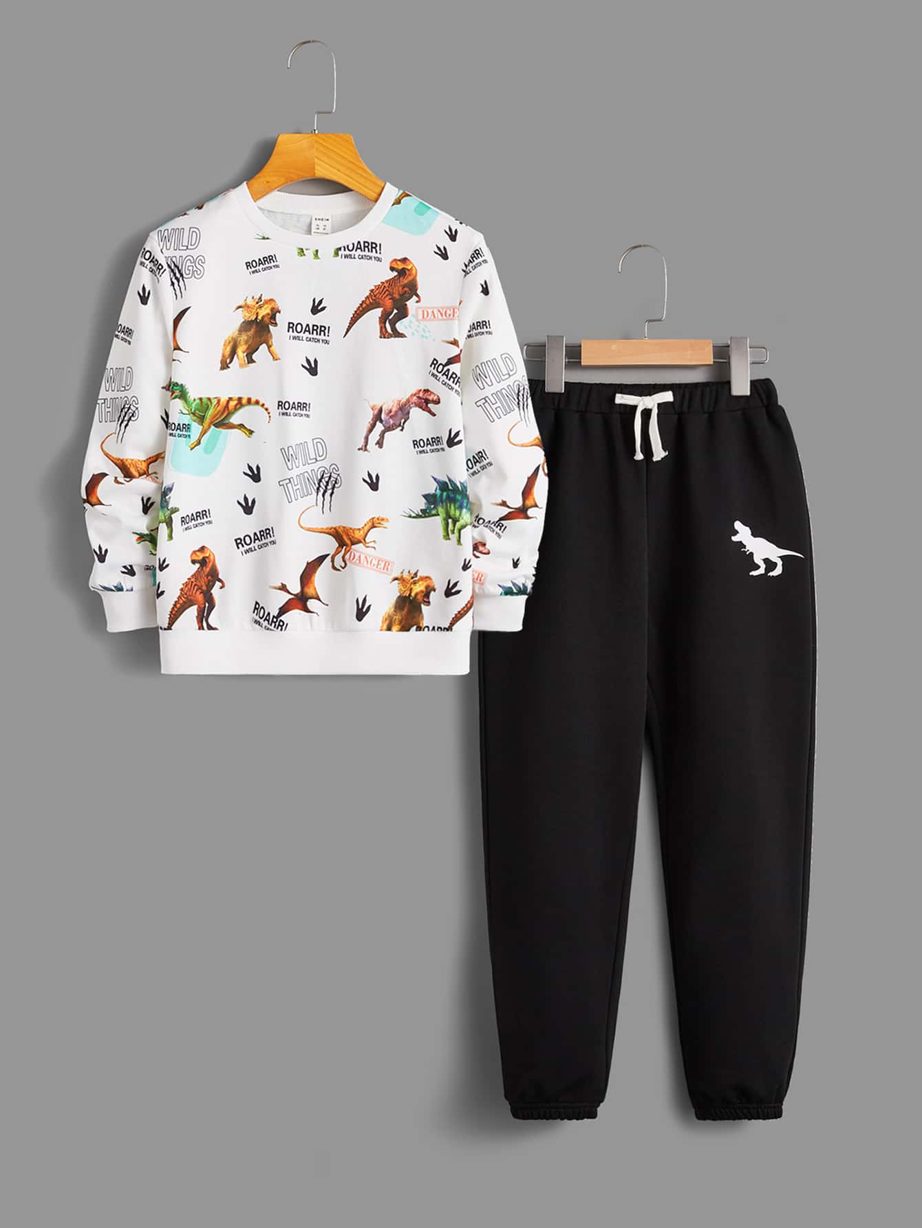 SHEIN Boys Letter And Dinosaur Print Pullover & Drawstring Waist Joggers - Multicolor - View 1