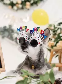 1pc Pet Birthday Glasses - Multicolor - View 1