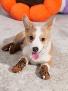 4pcs Leopard Print Pet Socks - Multicolor - View 6