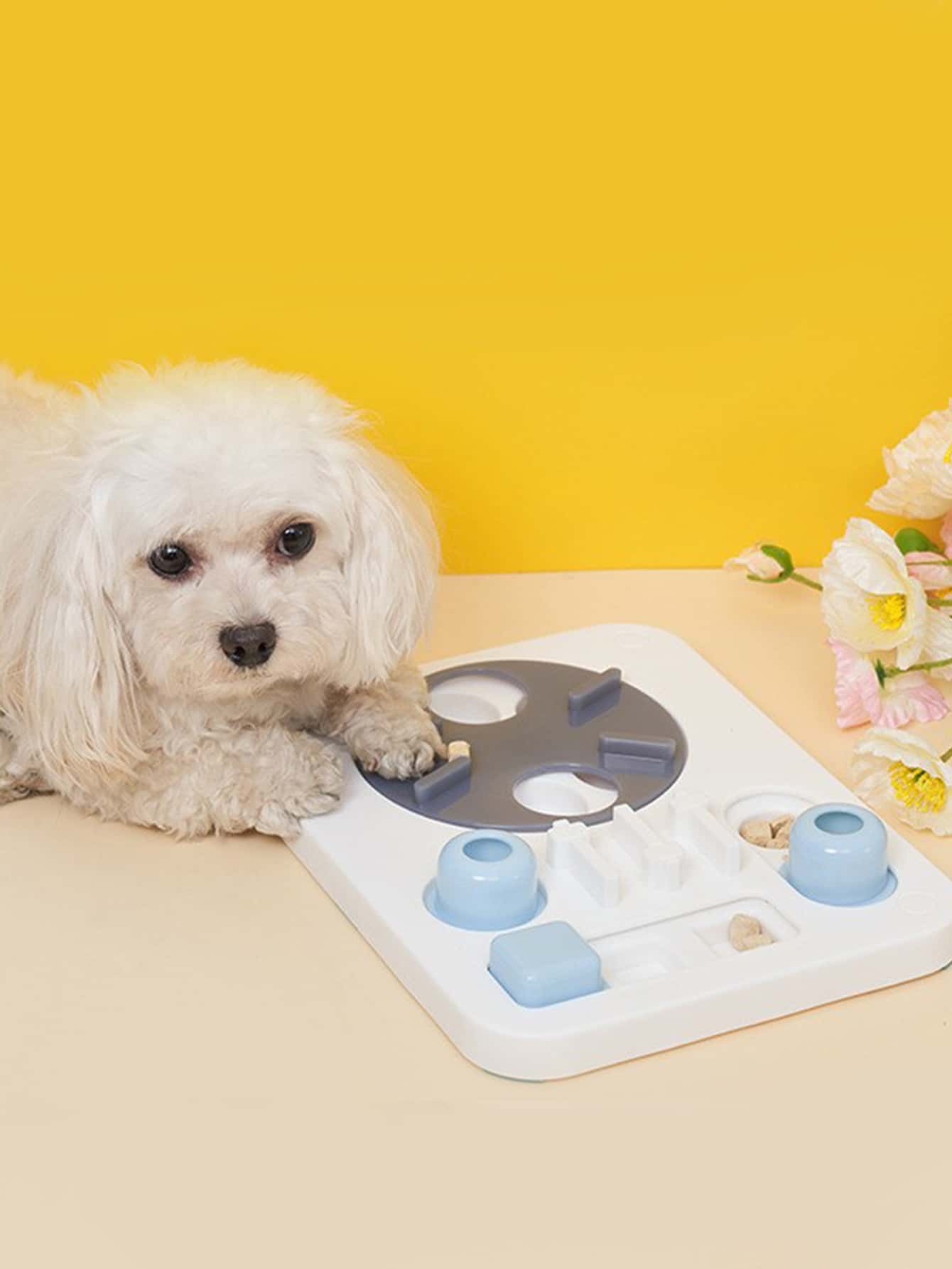 1入組寵物尋找訓練玩具，適合中小型寵物 - 藍白色 - 查看 1