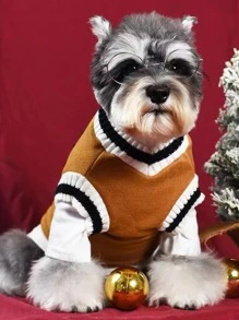 1pc Striped Print Pet Sweater
