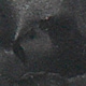 Nhiều màu