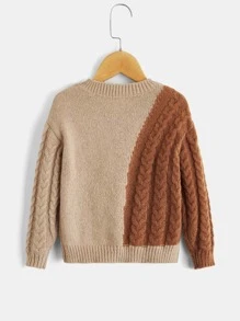 SHEIN Toddler Boys Two Tone Cable Knit Drop Shoulder Jumper - Multicolor - View 2