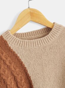 SHEIN Toddler Boys Two Tone Cable Knit Drop Shoulder Jumper - Multicolor - View 3